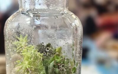 Učenička zadruga “Istarski vrhi” sudjelovala na Državnoj smotri učeničkih zadruga