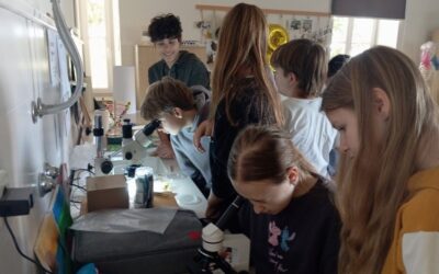 „Tajni život pod mikroskopom“